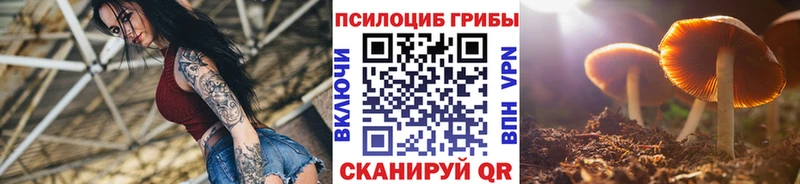 купить наркотики цена  Нальчик  Галлюциногенные грибы ЛСД 