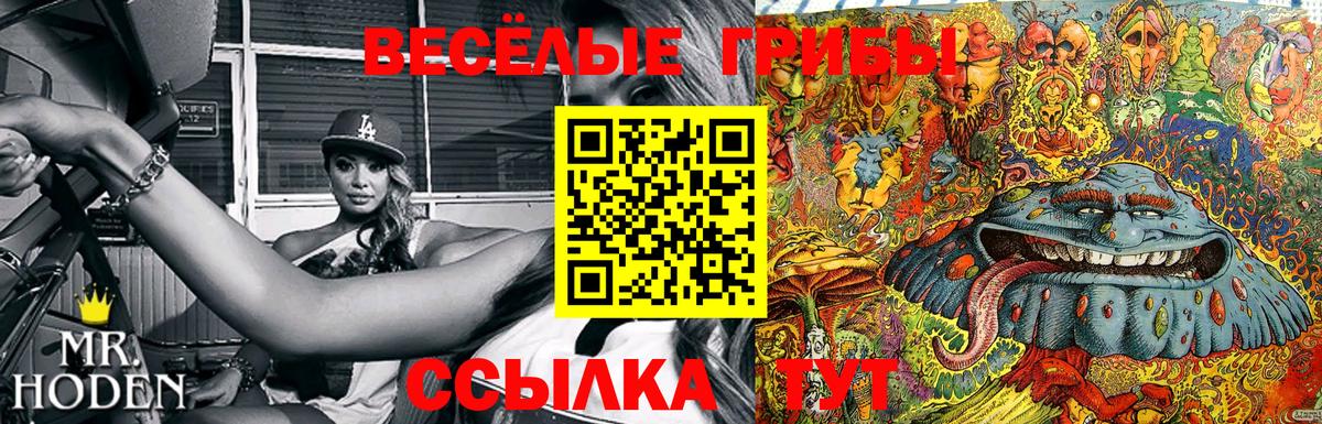 Галлюциногенные грибы Psilocybine cubensis  Вход с VPN  Галлюциногенные грибы ЛСД  Нальчик 