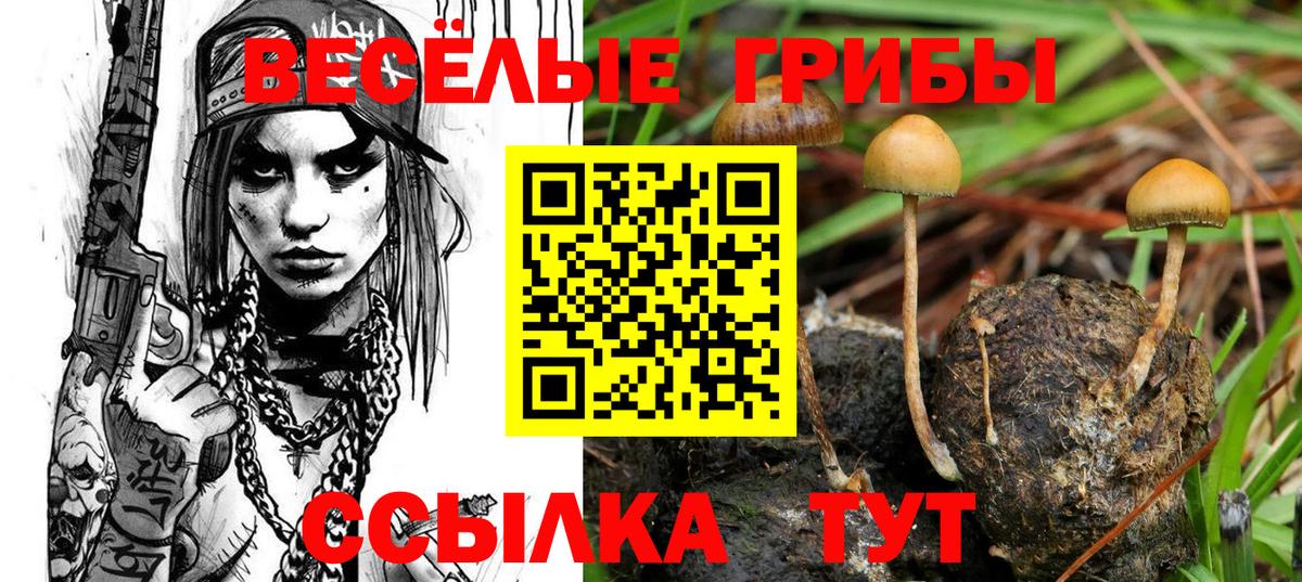 Псилоцибиновые грибы мухоморы Нальчик